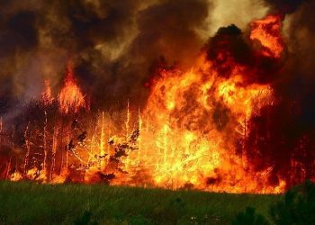 В Туве погибли пожарные десантники
