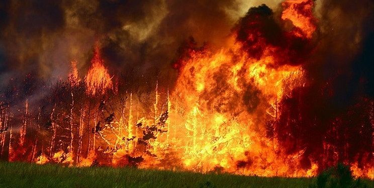 В Туве погибли пожарные десантники