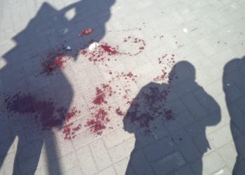 Пшонка уже раскрыл дело днепропетровских террористов