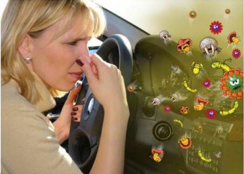 Як позбутися поганого запаху в автомобілі