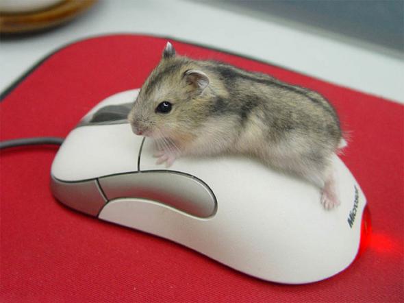 Мышка двигается не касаясь стола
