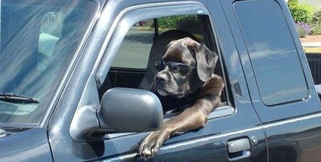 Как водят машины в разных странах мира