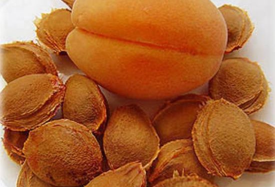 Лечение Рака абрикосовыми косточками