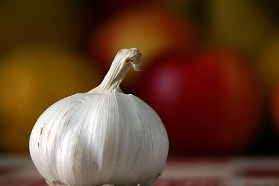 Полезные свойства Чеснока