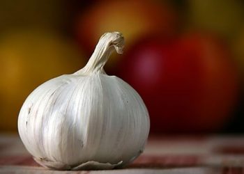 Полезные свойства Чеснока