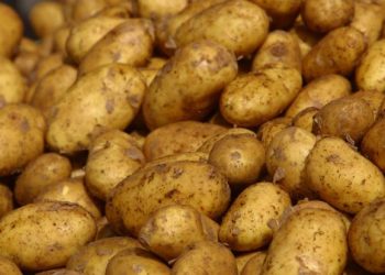 Врачи рассказали, нужен ли картофель в рационе человека