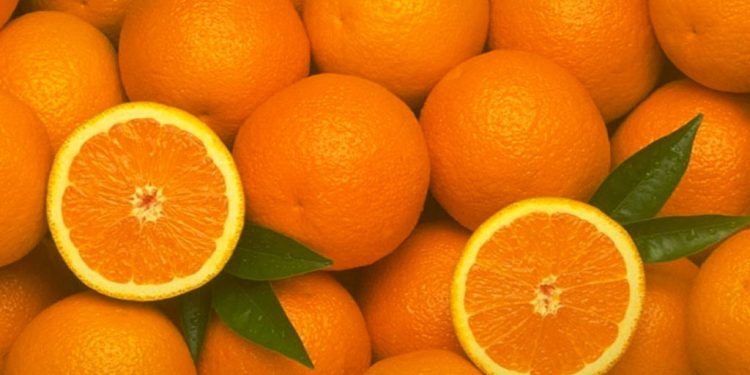 Диетологи рассказали, как похудеть, употребляя апельсины