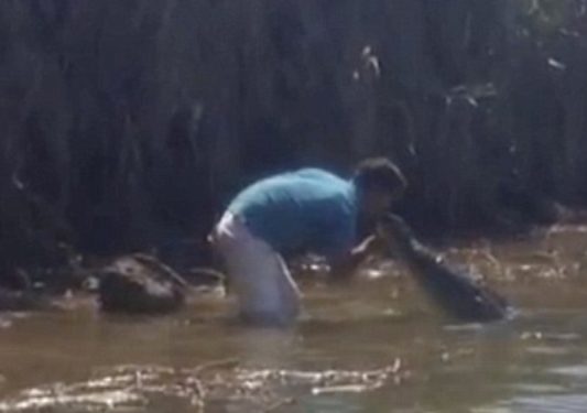 Мужчина не побоялся поцеловать крокодила