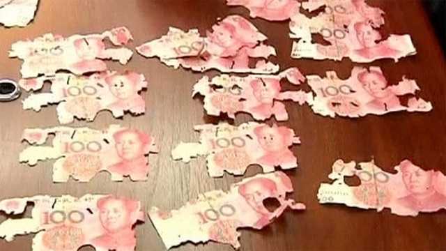 Пенсионерка лишилась денег из-за термитов