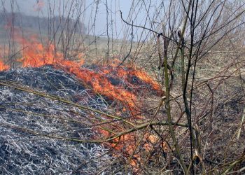 На пожаре в Одесской области пострадало трое детей