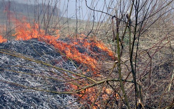 На пожаре в Одесской области пострадало трое детей