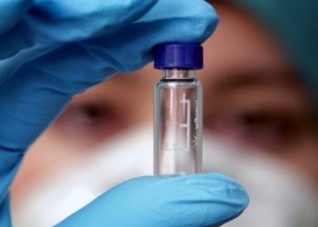 В США уже на следующей недели начнутся исследования вакцины против вируса Эбола
