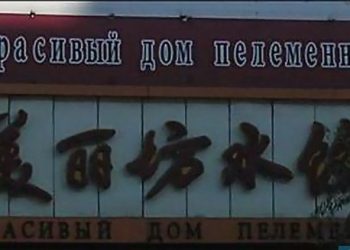 Китайские говоруны отличаются умом и сообразительностью.