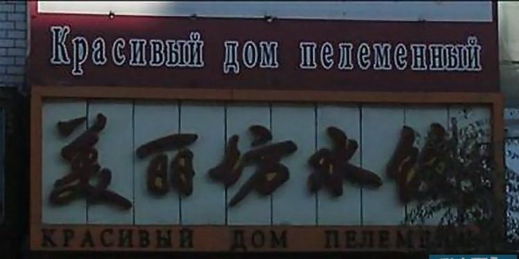 Китайские говоруны отличаются умом и сообразительностью.