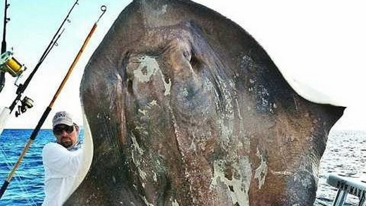Во Флориде вытащили из морских глубин гигантского динозавра