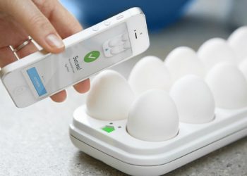 Смартфон поможет выбрать свежие продукты