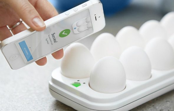 Смартфон поможет выбрать свежие продукты