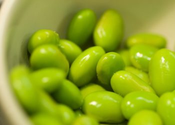 Употребление сои полезно для организма человека