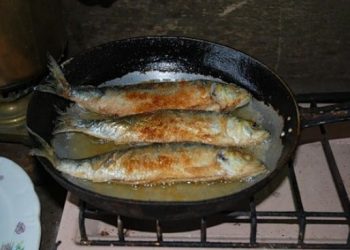 Названа лучшая рыба для холодного времени года