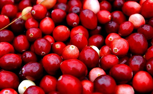 Специалисты назвали клюкву суперпродуктом для здоровья