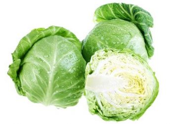Врачи: капуста - суперпродукт осени