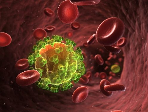 Скоро на людях будет испытана вакцина, уничтожающая вирус иммунодефицита у обезьян