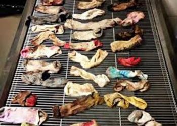 43 пары носков оказались в желудке немецкого дога