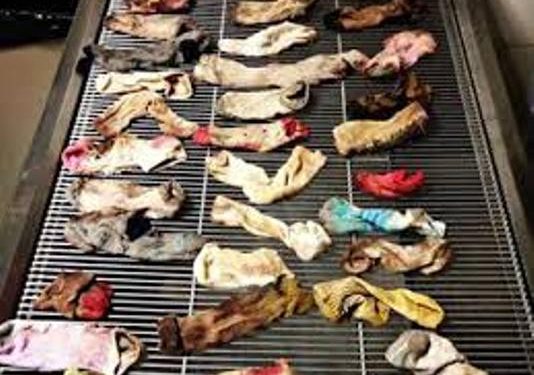43 пары носков оказались в желудке немецкого дога