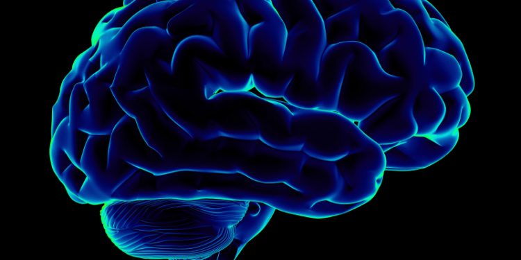 Ученые утверждают, что мозг человека может прожить 200 лет
