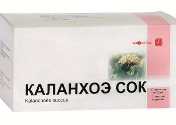 Как сок каланхоэ помогает лечить насморк