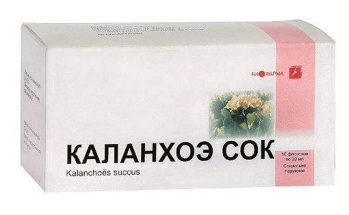 Как сок каланхоэ помогает лечить насморк
