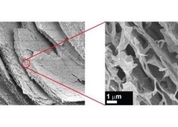 Ученые нашли способ, как делать стабильные 3D-структуры из графена