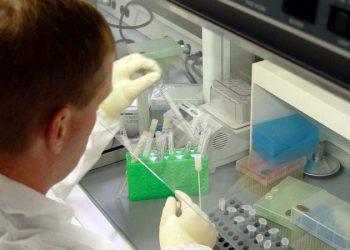 Китайские медики присоединяются к поиску лекарств от Эболы