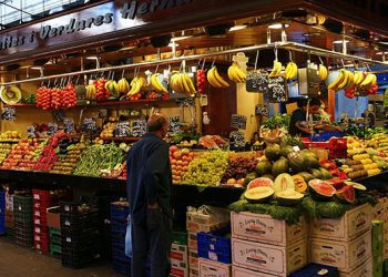 ООН беспокоится количеством еды для следующих поколений