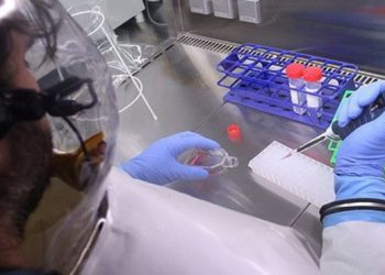 Стало известно, какая вакцина от Эболи наиболее эффективна