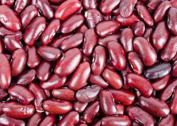 Эксперты назвали продукты, которые помогут надолго избавиться от чувства голода