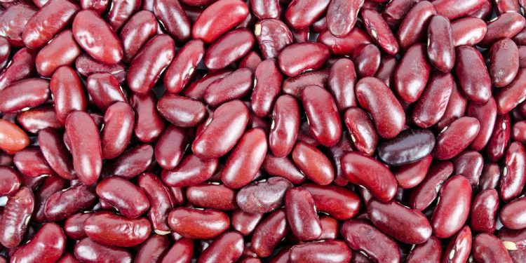 Эксперты назвали продукты, которые помогут надолго избавиться от чувства голода