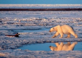 Ученые установили причину суровых зим в Евразии