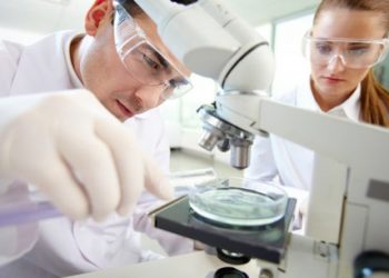 Ученые рассказали о клетках способных производить инсулин