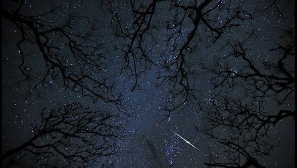 Камень из сельского сада оказался метеоритом