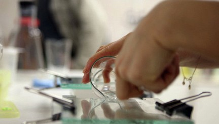 Создан новый метод для восстановления кровеносных сосудов