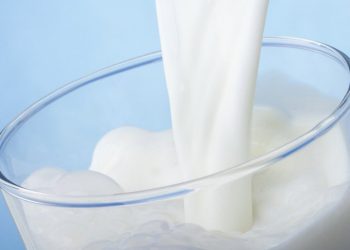 Врачи: употребления большого количества молока опасно