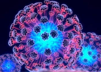 Эксперты доказали безопасность стволовых клеток