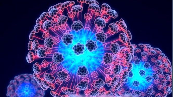 Эксперты доказали безопасность стволовых клеток
