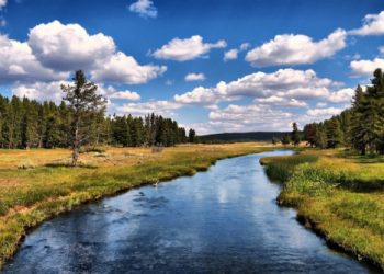 В речной воде найдено мощное лекарство