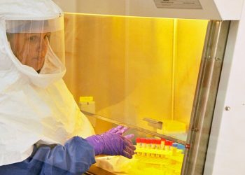 Ученые сообщили о начале клинических испытаний лекарства от Эболы