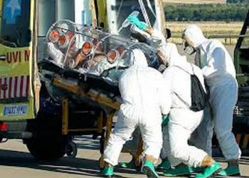 Вирус Эбола добрался до Берлина