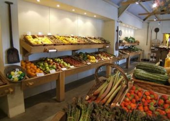 Специалисты назвали полезные продукты для россиян