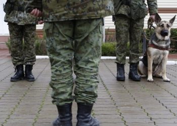 Пограничники задержали террориста из группировки «Беса»