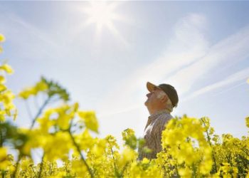 Врачи: нехватка солнечного света опасна для здоровья